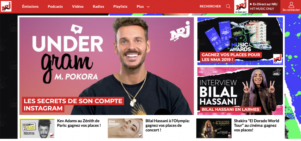 nrjbug.png