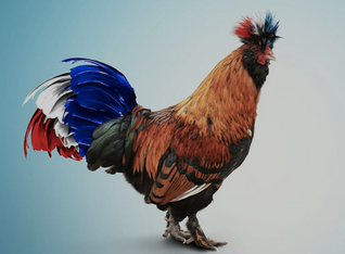 image.png.a3d2b876560eeb15e7fb9d2660d894b8.png