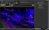 pochette_winamp_139_thumb.jpg